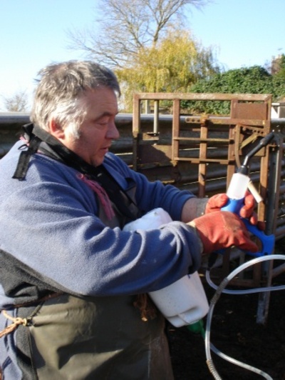Dairy Farming in Dorset