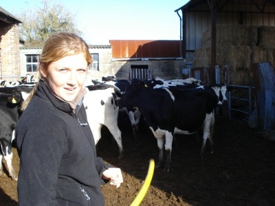 Dairy Farming in Dorset