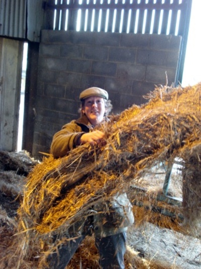 A Day on a Mixed Farm