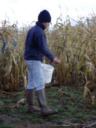 A Day on a Mixed Farm
