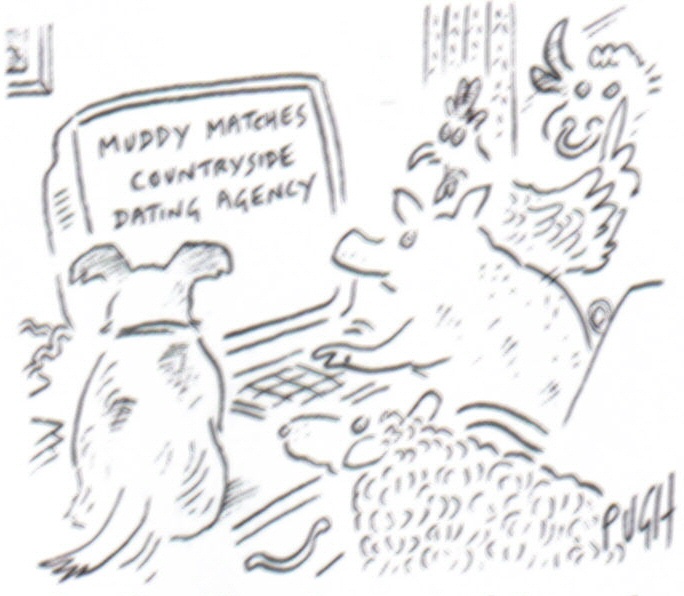 Cartoon