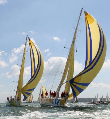 Rfn05g6703_2