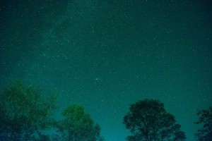 5 Universal Truths about Dating