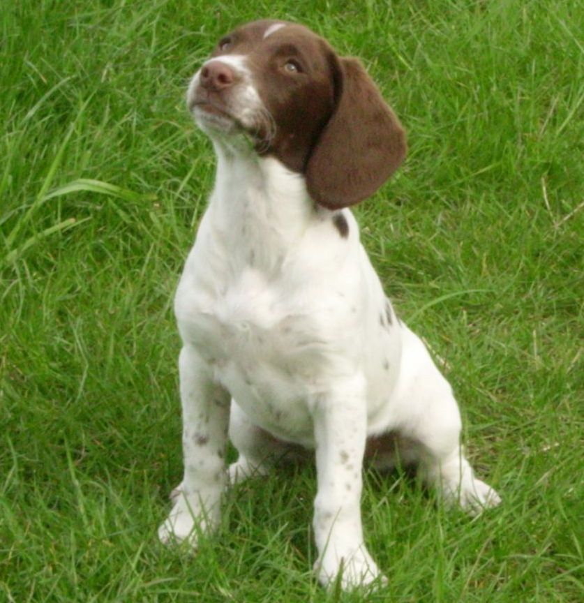 Laura Nottinghamshire