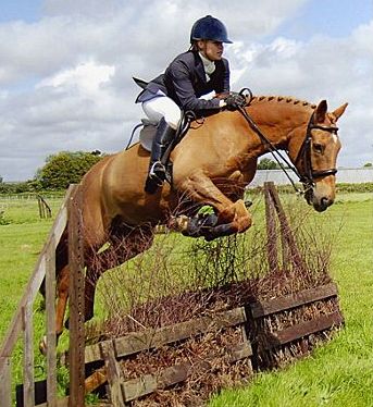 Cordelia - West Sussex