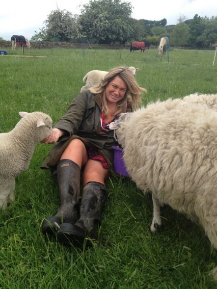 Joanna is pinned down by two sheep, while one sheep eats the food in the bucket.