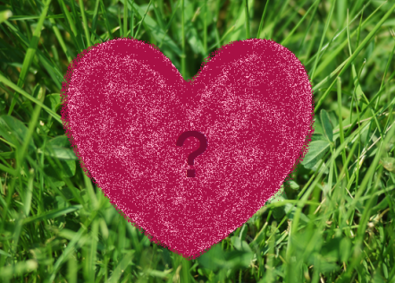 A maroon coloured heart with a question mark on a grass background